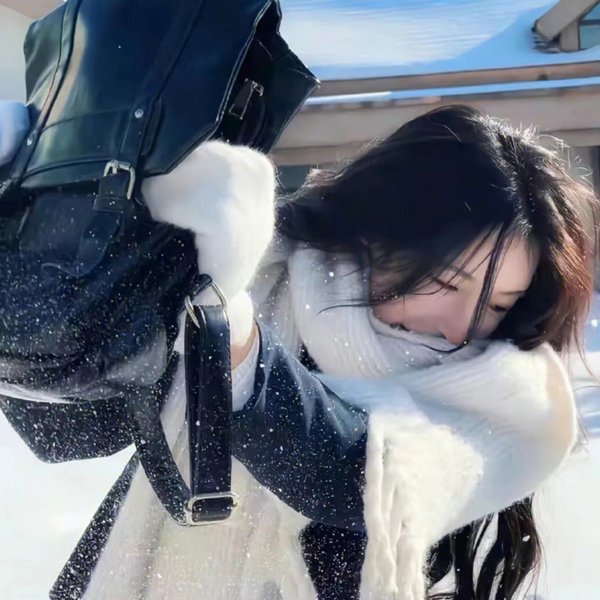 玫瑰的战争